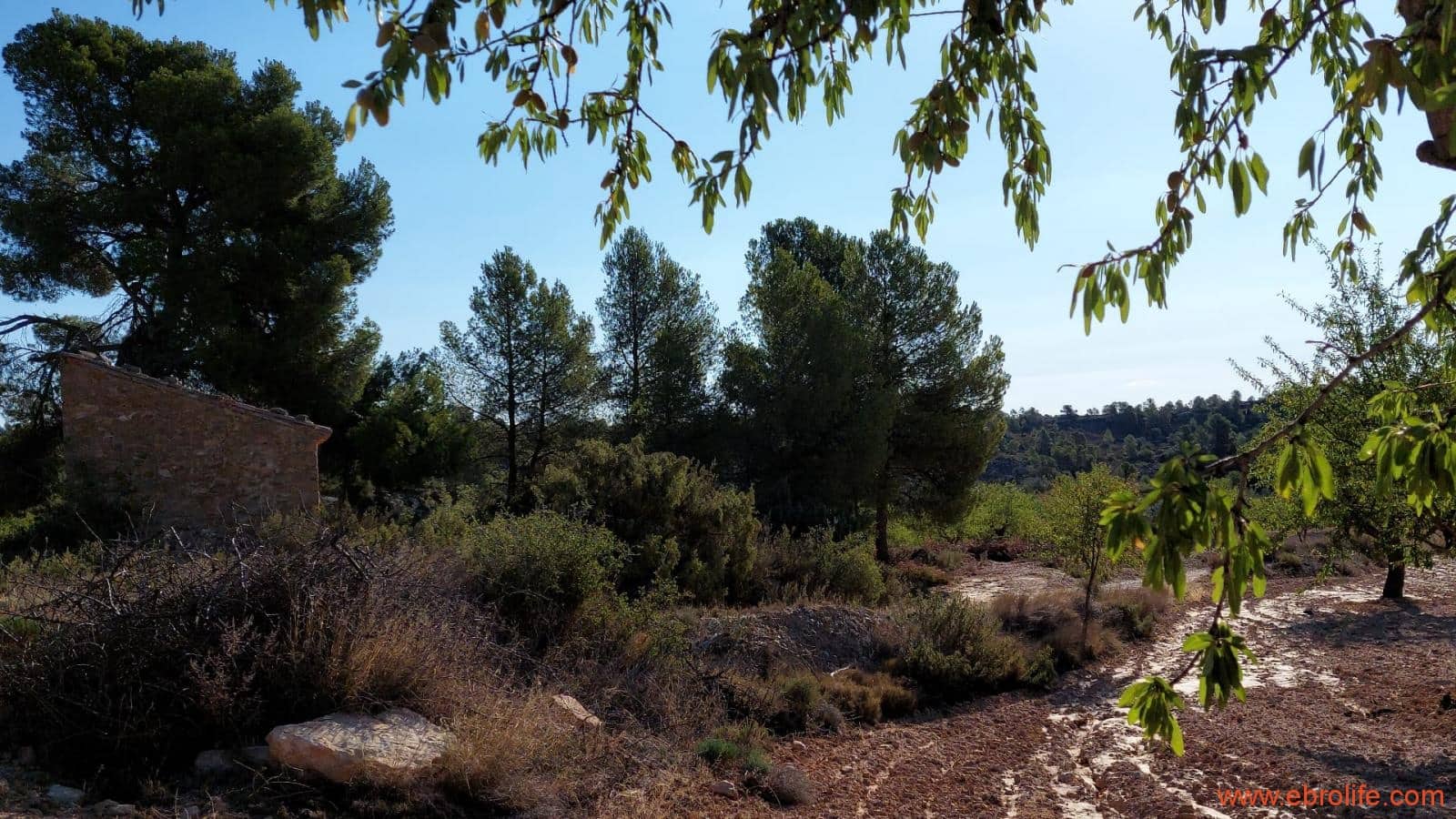 1 soveværelse Finca/Landehus til salg i Mazaleon - € 44.000 (Ref: 8684280)