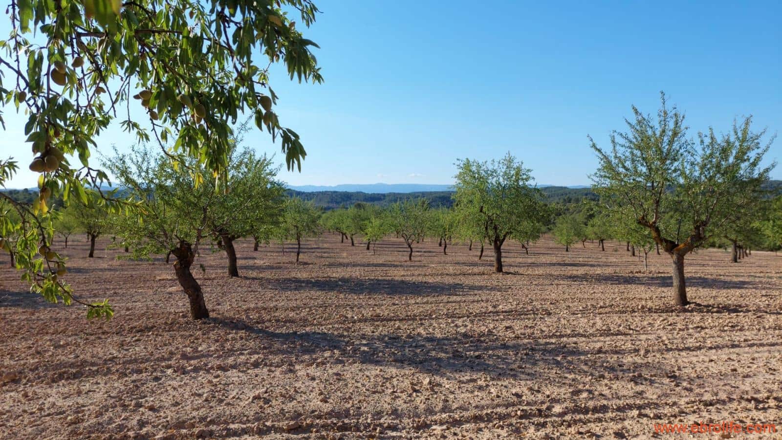 1 soveværelse Finca/Landehus til salg i Mazaleon - € 44.000 (Ref: 8684280)