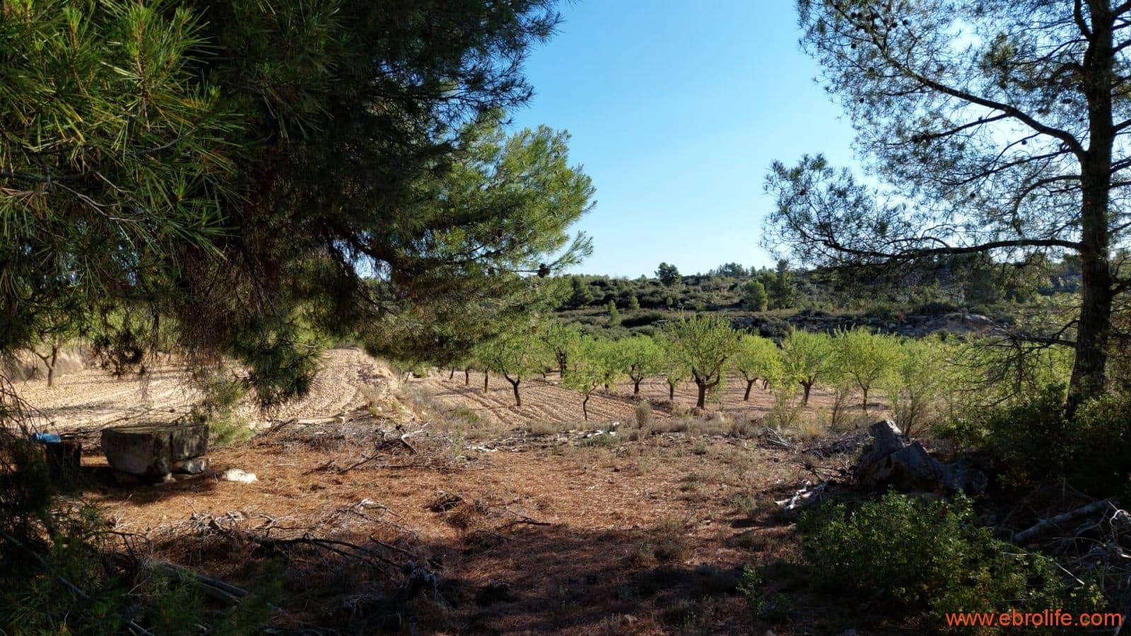 1 soveværelse Finca/Landehus til salg i Mazaleon - € 44.000 (Ref: 8684280)