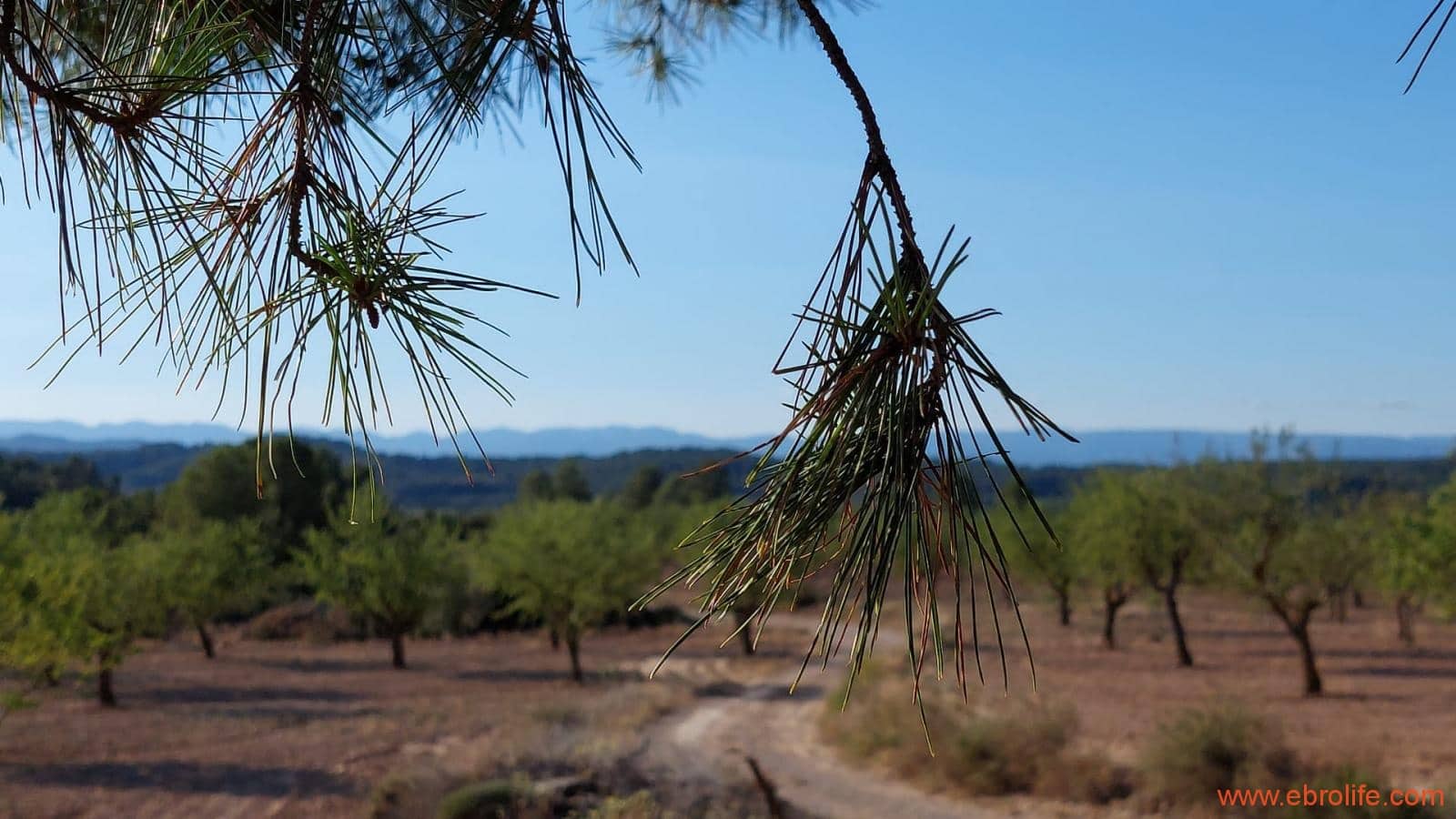 1 soveværelse Finca/Landehus til salg i Mazaleon - € 44.000 (Ref: 8684280)