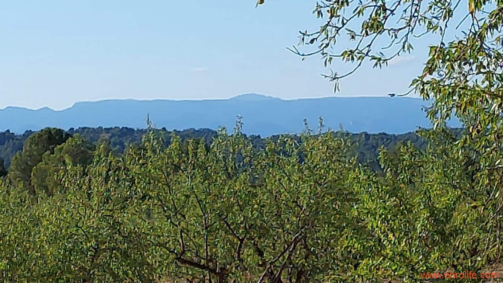 1 soveværelse Finca/Landehus til salg i Mazaleon - € 44.000 (Ref: 8684280)