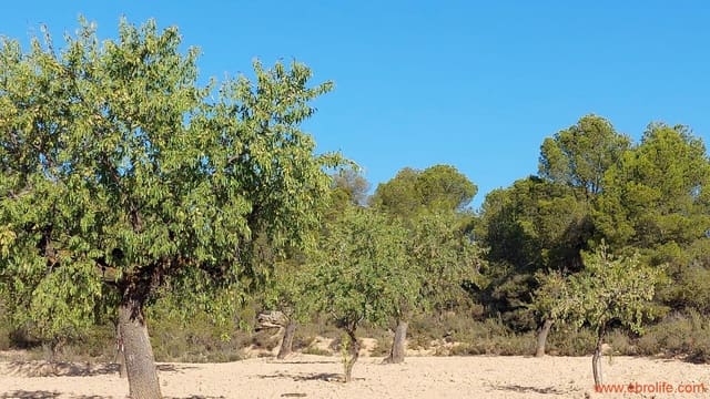 1 quarto Quinta/Casa Rural para venda em Mazaleón - 44 000 € (Ref: 8684280)