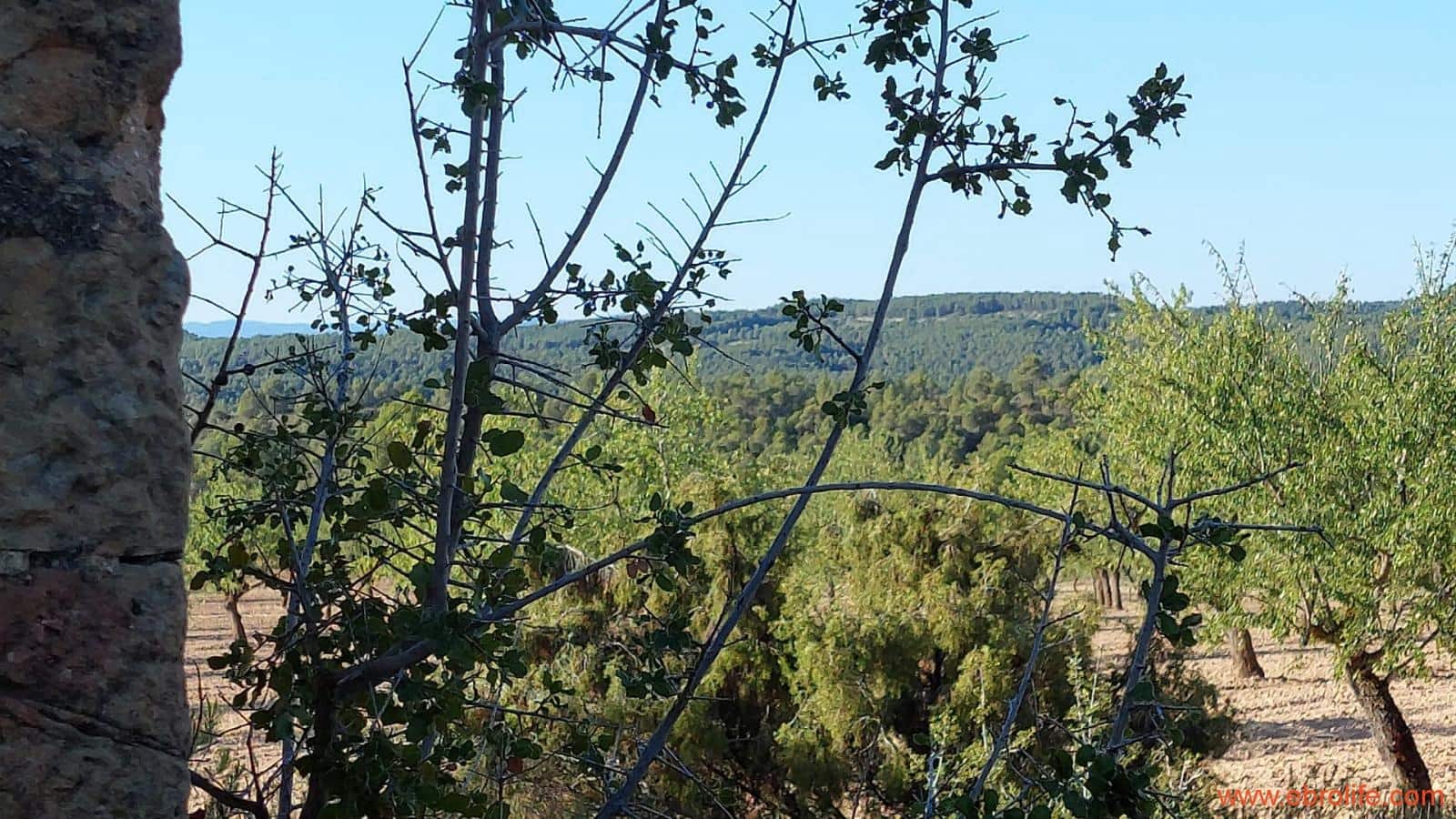 1 soveværelse Finca/Landehus til salg i Mazaleon - € 44.000 (Ref: 8684280)