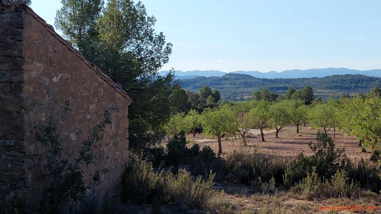 1 soveværelse Finca/Landehus til salg i Mazaleon - € 44.000 (Ref: 8684280)