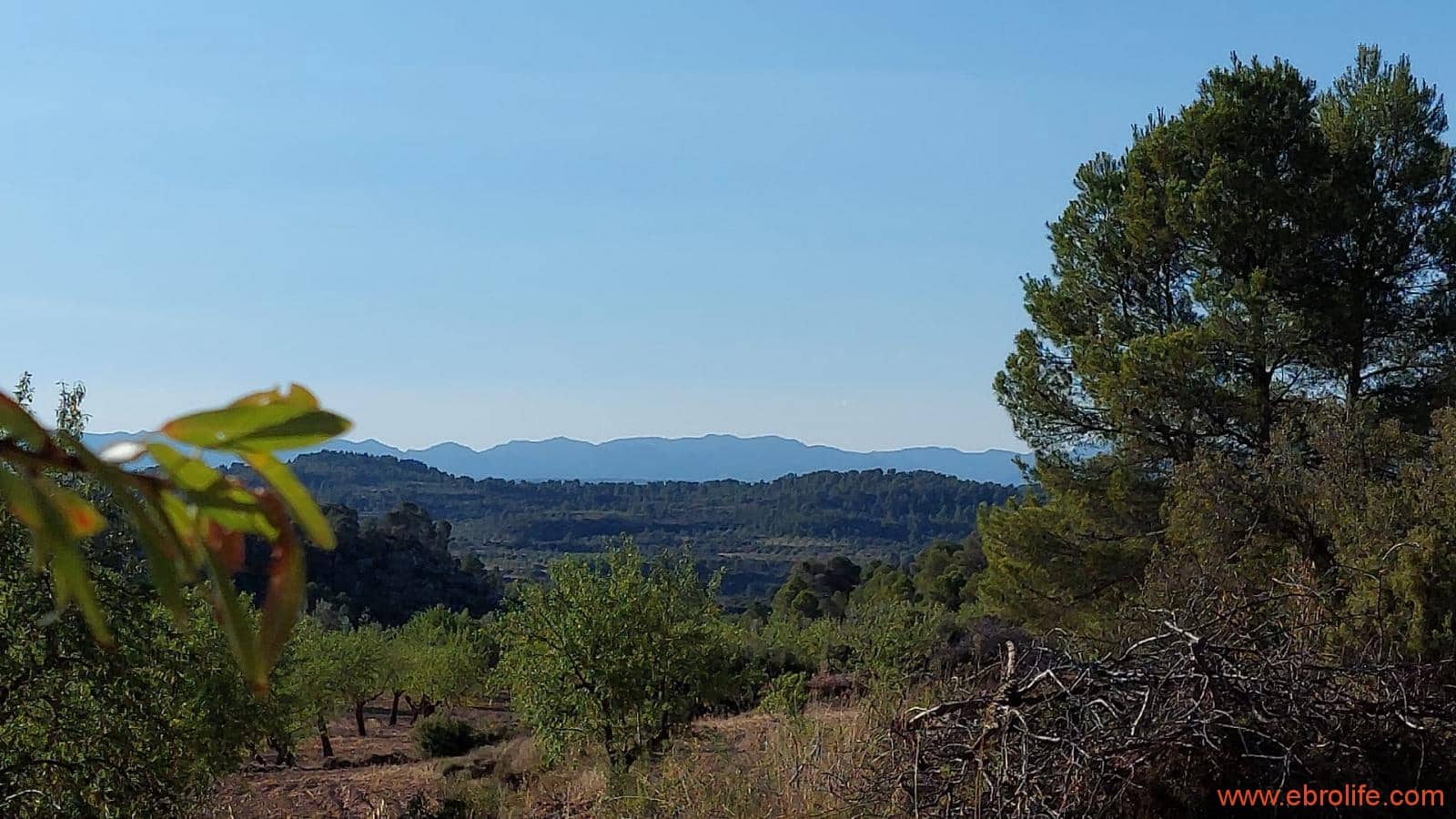 1 soveværelse Finca/Landehus til salg i Mazaleon - € 44.000 (Ref: 8684280)