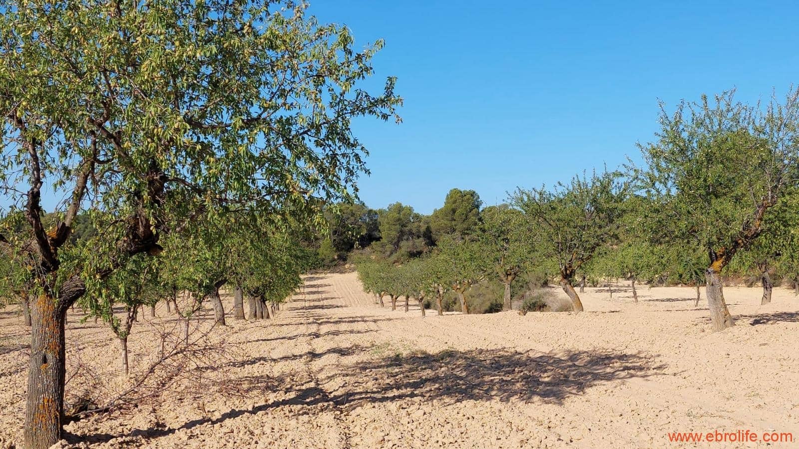 1 soveværelse Finca/Landehus til salg i Mazaleon - € 44.000 (Ref: 8684280)