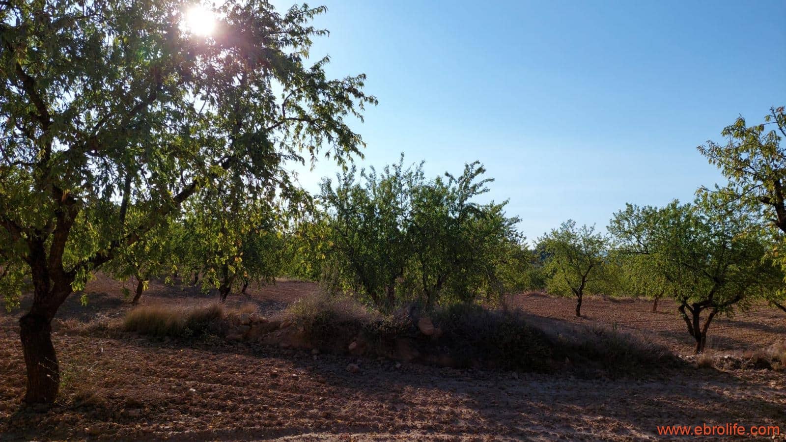 1 soveværelse Finca/Landehus til salg i Mazaleon - € 44.000 (Ref: 8684280)