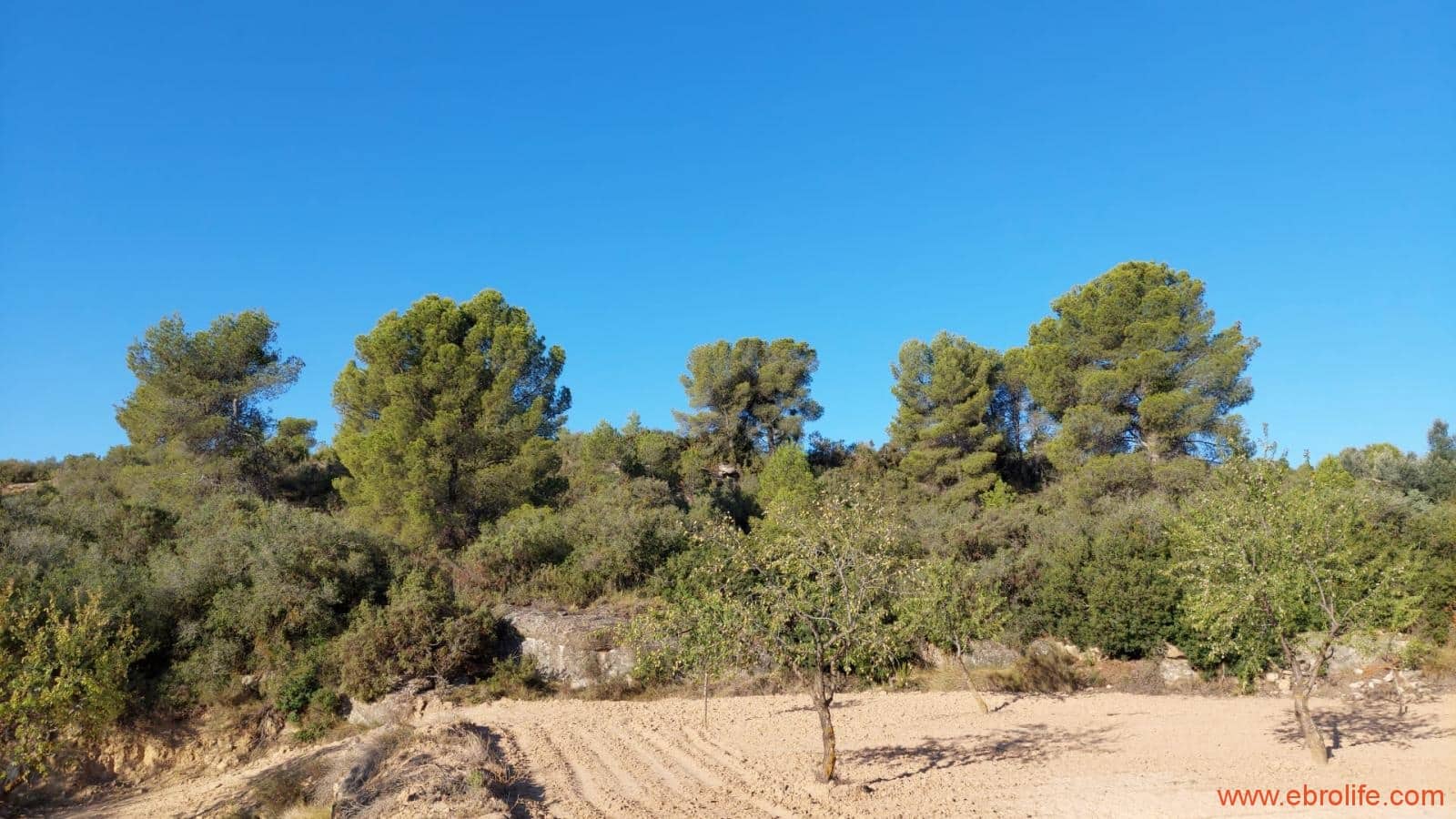 1 soveværelse Finca/Landehus til salg i Mazaleon - € 44.000 (Ref: 8684280)