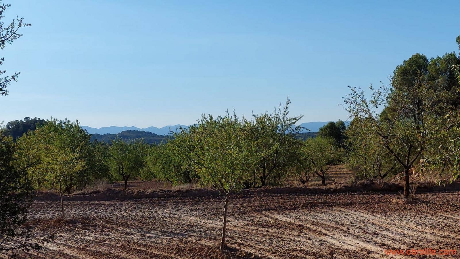 1 soveværelse Finca/Landehus til salg i Mazaleon - € 44.000 (Ref: 8684280)