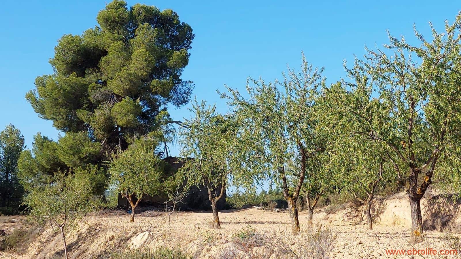 1 soveværelse Finca/Landehus til salg i Mazaleon - € 44.000 (Ref: 8684280)