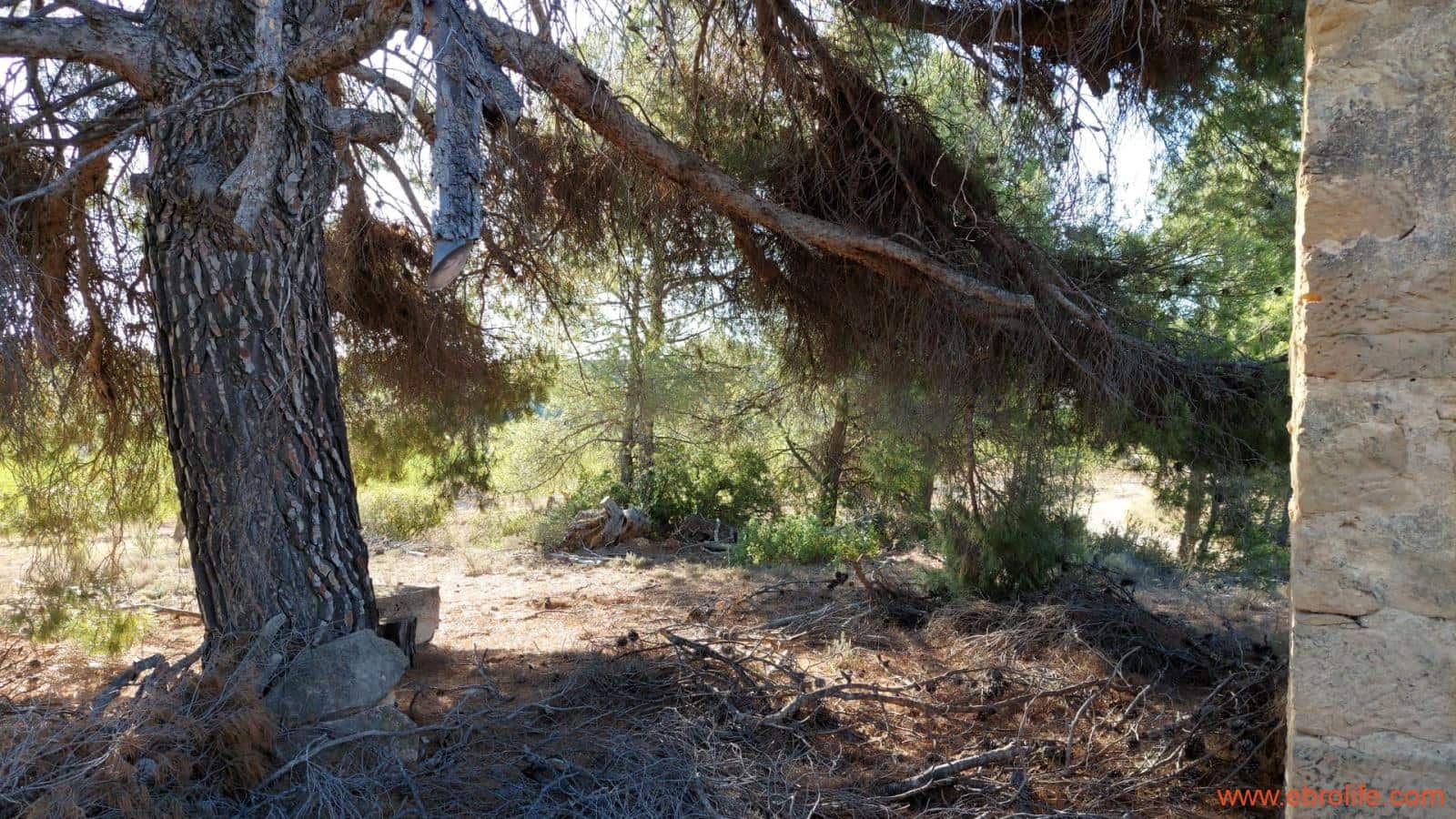 1 soveværelse Finca/Landehus til salg i Mazaleon - € 44.000 (Ref: 8684280)