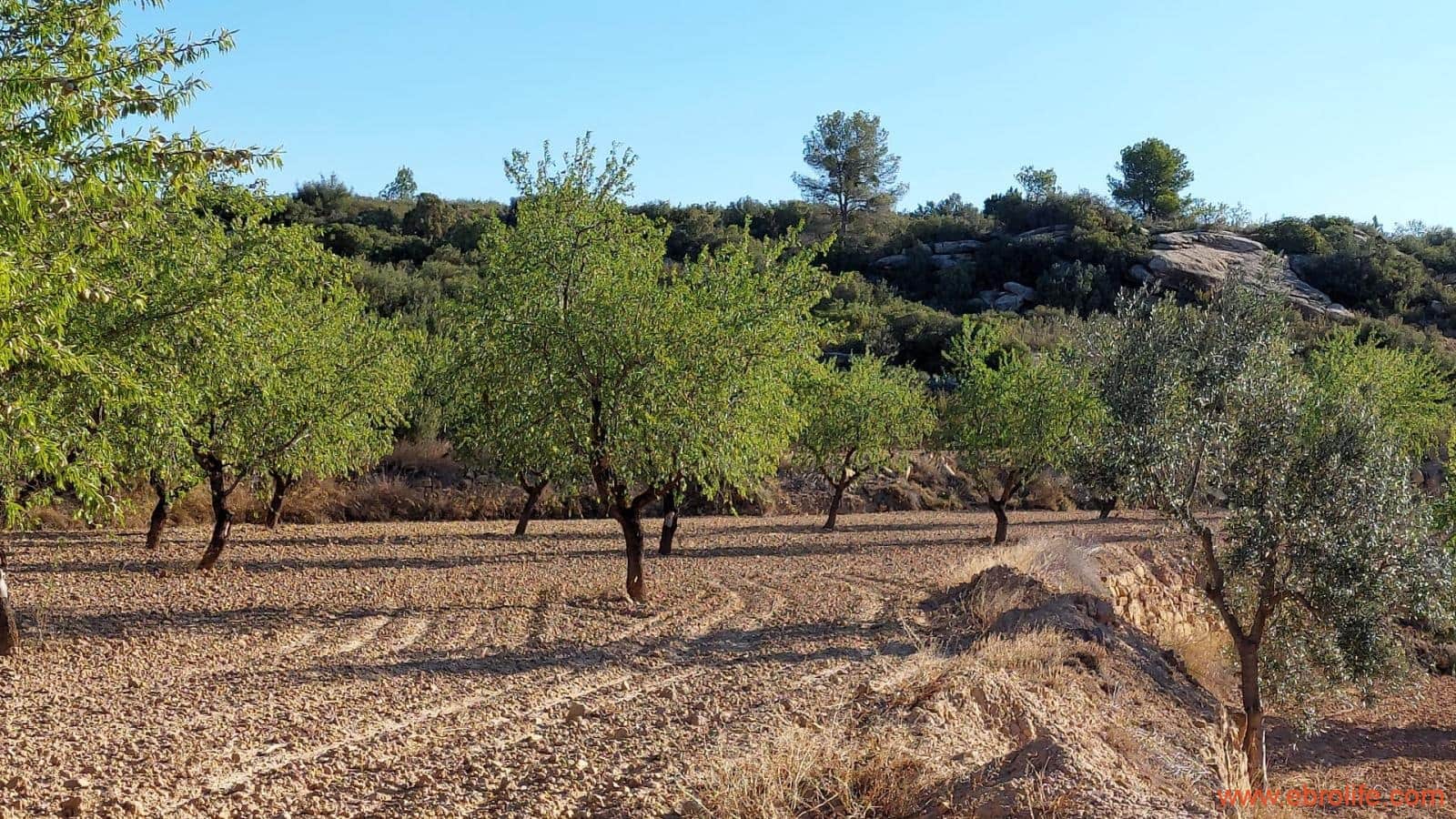 1 soveværelse Finca/Landehus til salg i Mazaleon - € 44.000 (Ref: 8684280)