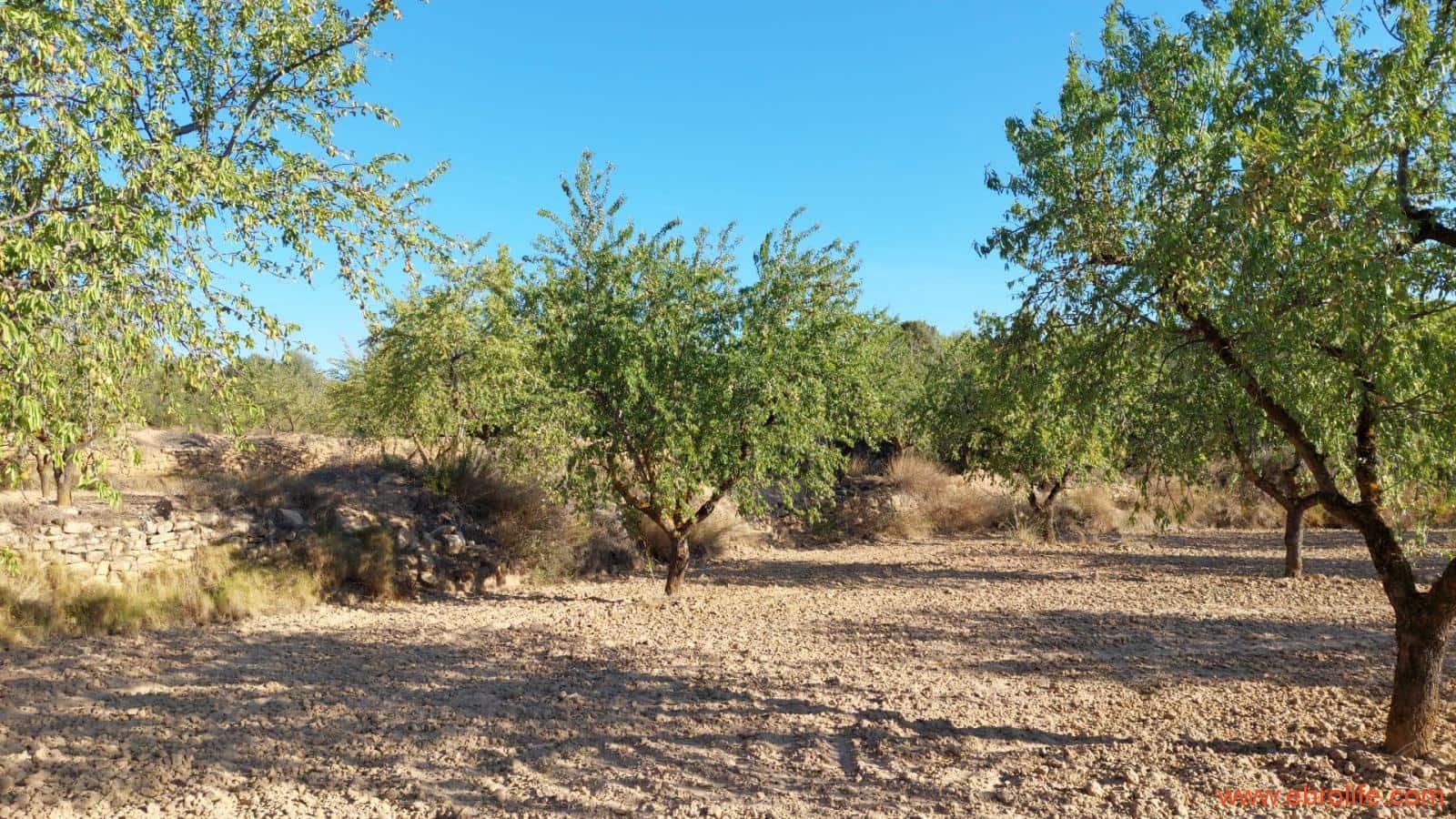 1 soveværelse Finca/Landehus til salg i Mazaleon - € 44.000 (Ref: 8684280)