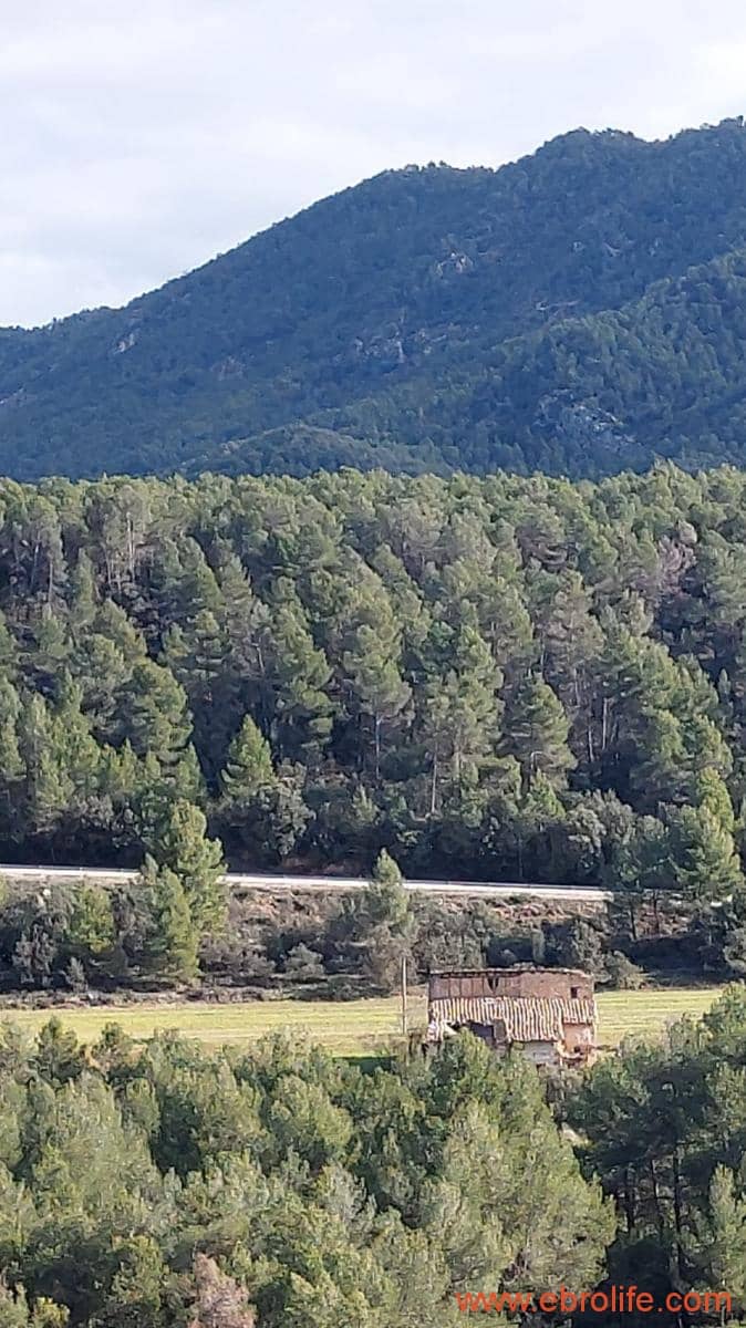 1 slaapkamer Finca/Landhuis te koop in Fuentespalda - € 90.000 (Ref: 8684281)