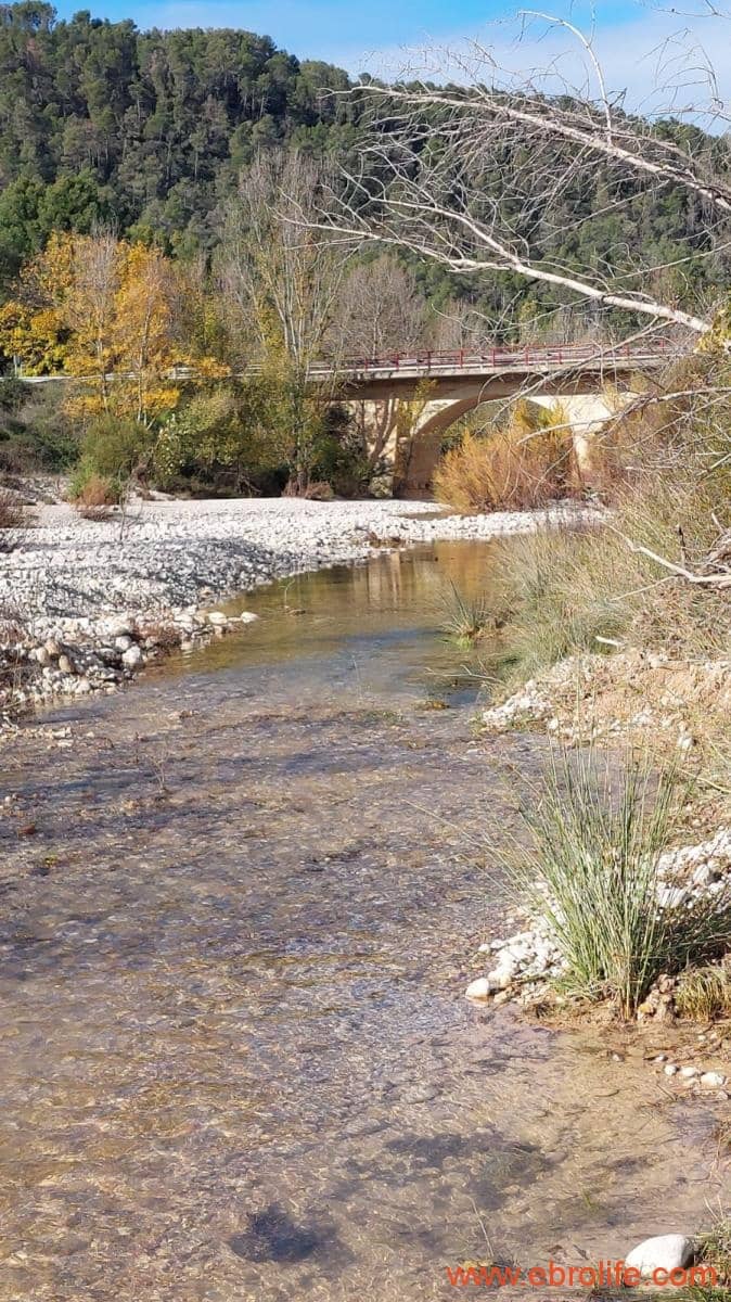 1 slaapkamer Finca/Landhuis te koop in Fuentespalda - € 90.000 (Ref: 8684281)