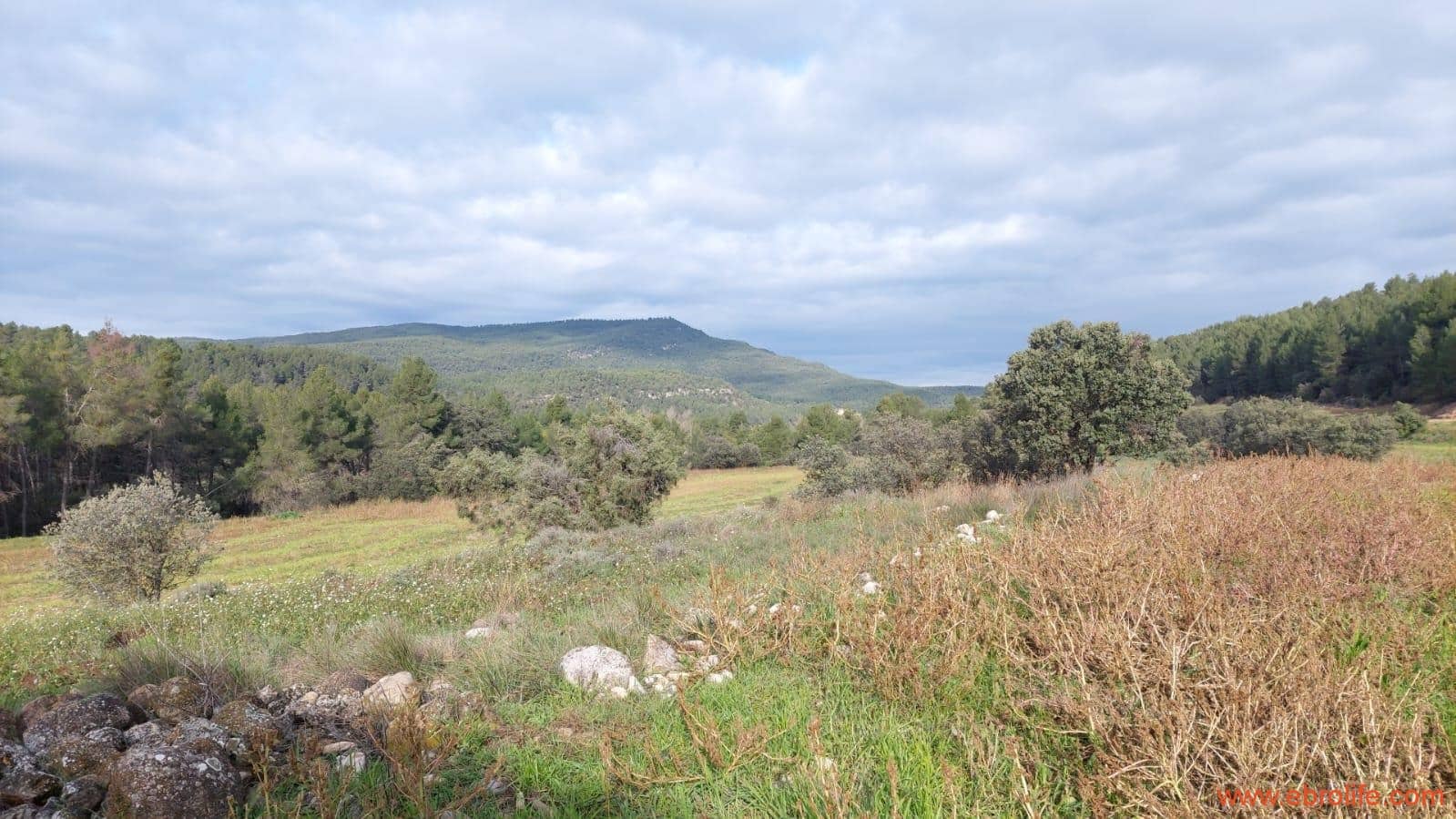 1 slaapkamer Finca/Landhuis te koop in Fuentespalda - € 90.000 (Ref: 8684281)