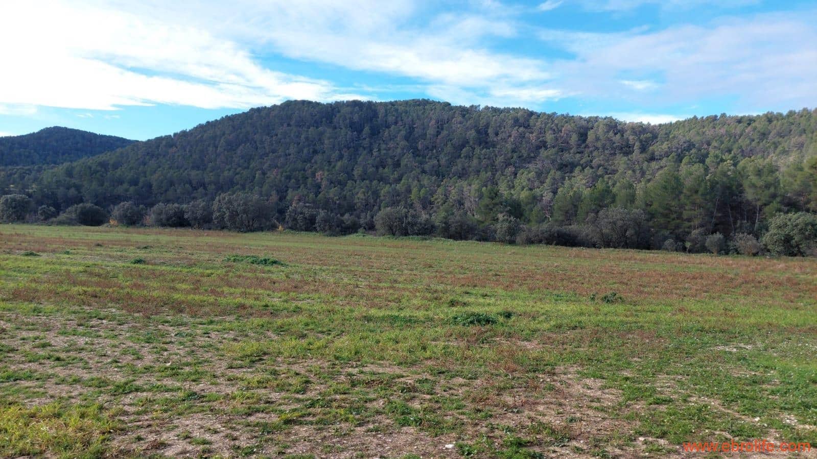 1 slaapkamer Finca/Landhuis te koop in Fuentespalda - € 90.000 (Ref: 8684281)