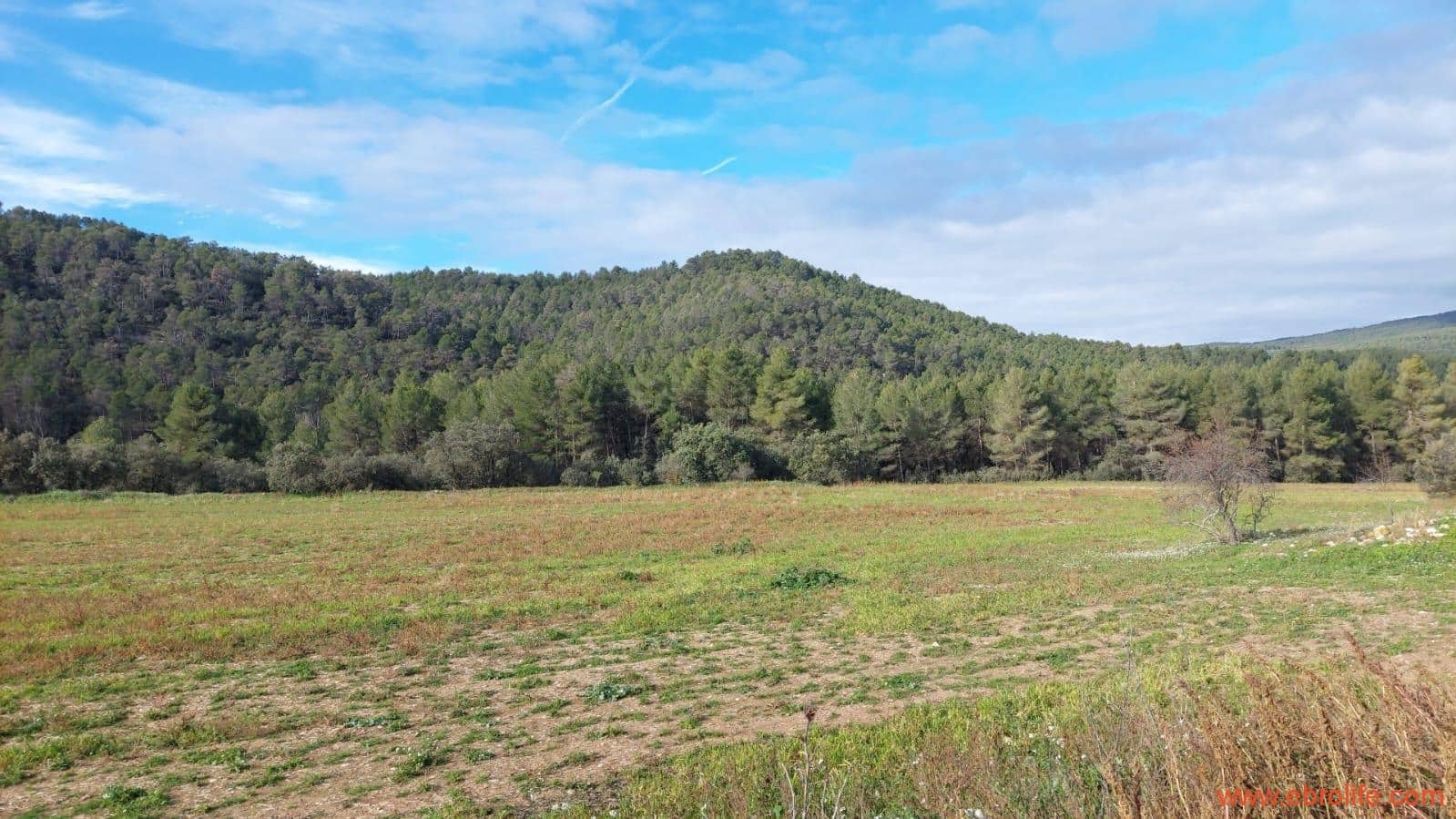 1 slaapkamer Finca/Landhuis te koop in Fuentespalda - € 90.000 (Ref: 8684281)