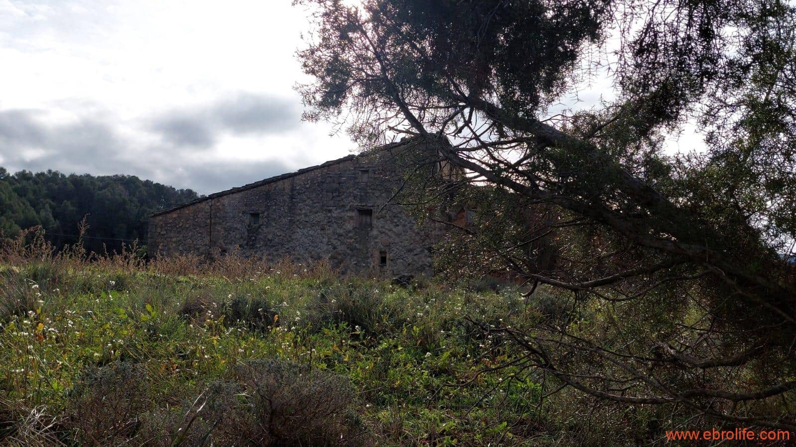 1 slaapkamer Finca/Landhuis te koop in Fuentespalda - € 90.000 (Ref: 8684281)