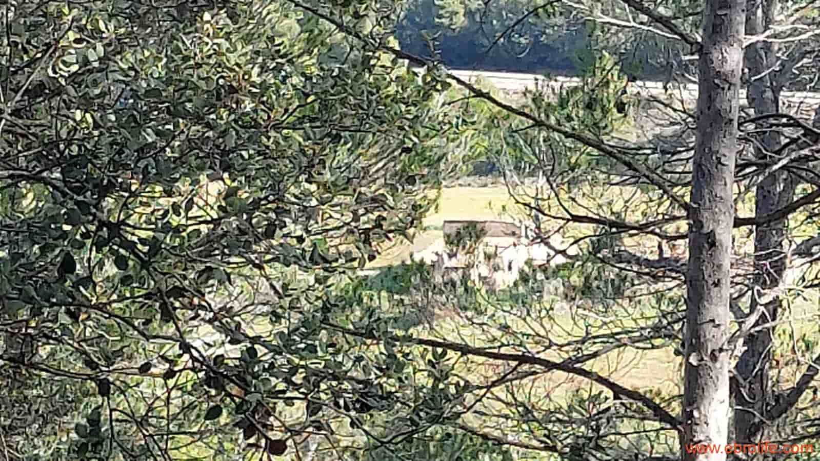 1 slaapkamer Finca/Landhuis te koop in Fuentespalda - € 90.000 (Ref: 8684281)