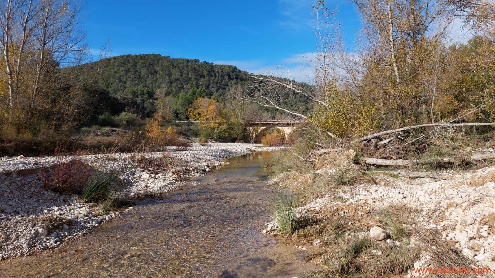 1 slaapkamer Finca/Landhuis te koop in Fuentespalda - € 90.000 (Ref: 8684281)