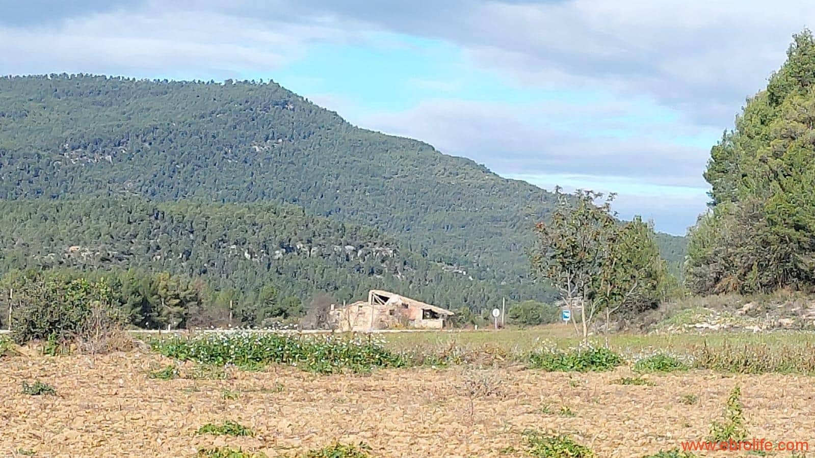 1 slaapkamer Finca/Landhuis te koop in Fuentespalda - € 90.000 (Ref: 8684281)