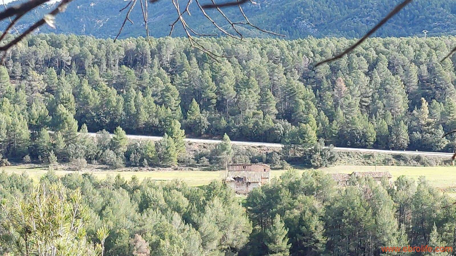 1 slaapkamer Finca/Landhuis te koop in Fuentespalda - € 90.000 (Ref: 8684281)