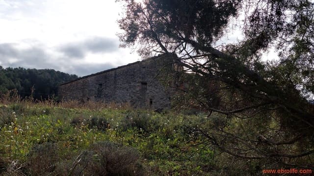 1 Zimmer Finca/Landgut zu verkaufen in Fuentespalda - 90.000 € (Ref: 8684281)