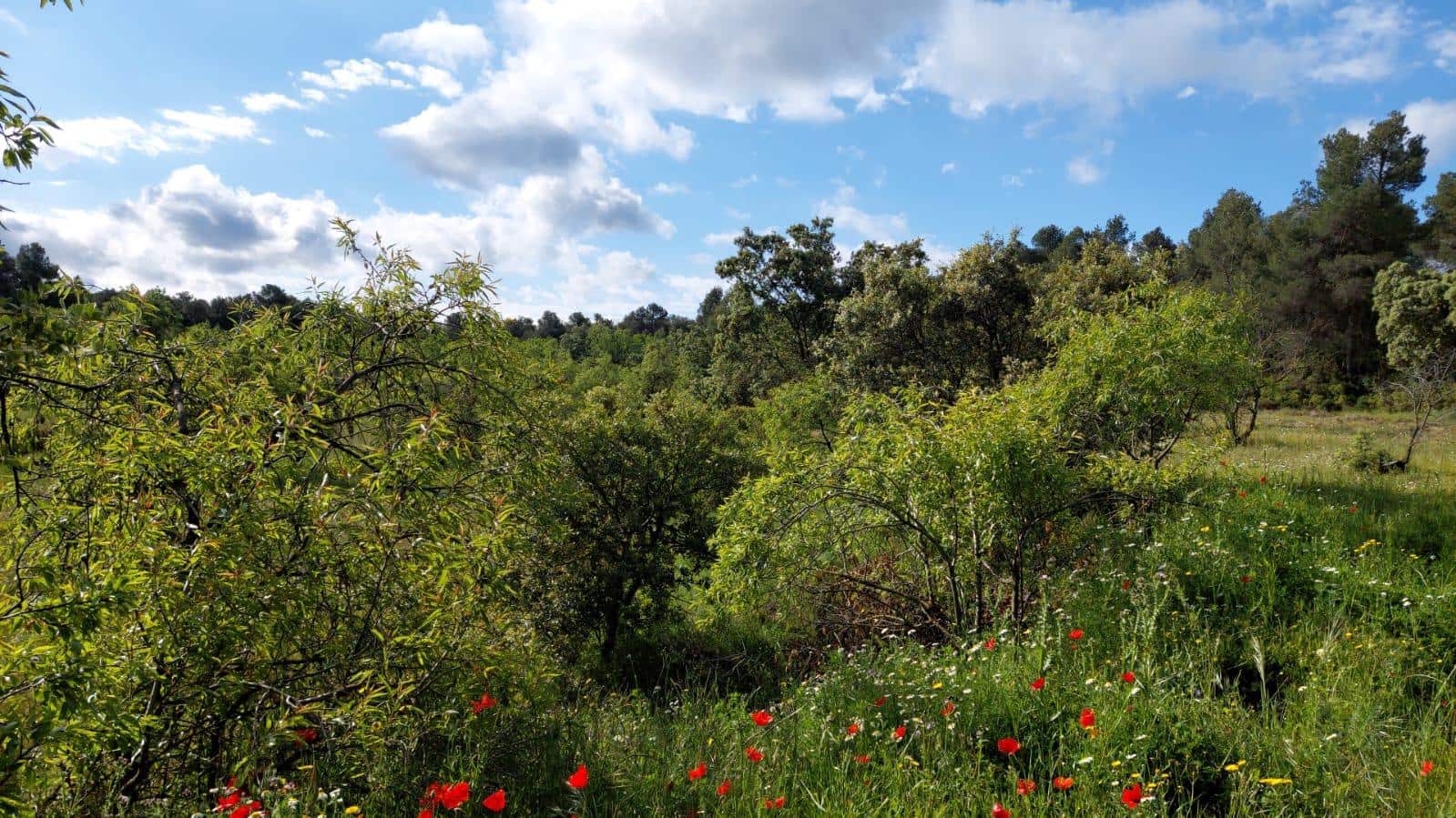 1 slaapkamer Finca/Landhuis te koop in Valderrobres - € 139.000 (Ref: 9094886)