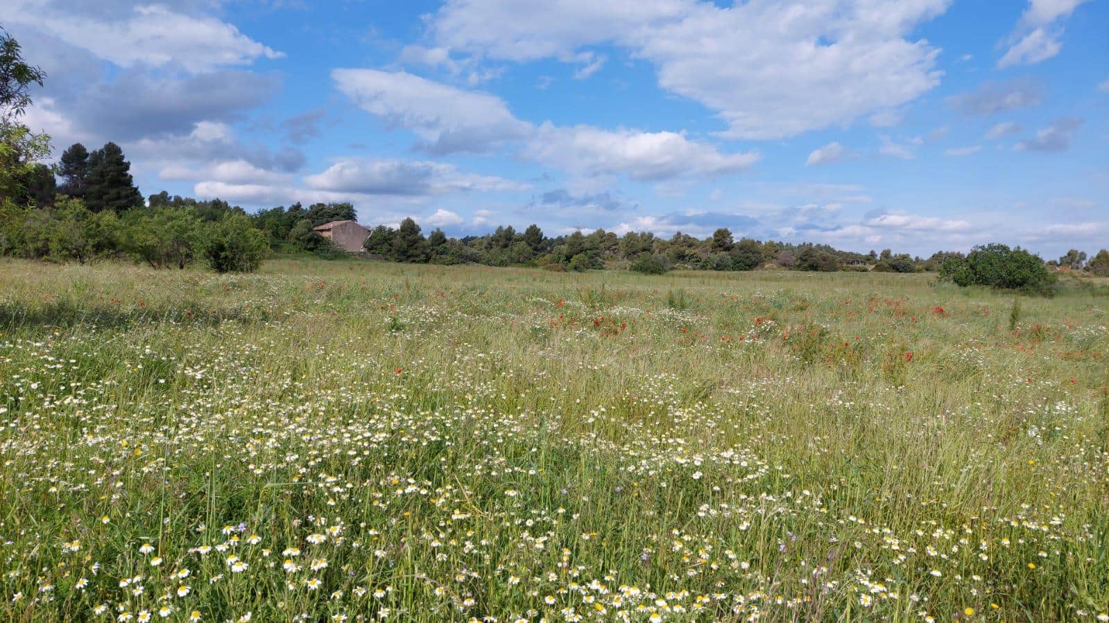 1 slaapkamer Finca/Landhuis te koop in Valderrobres - € 139.000 (Ref: 9094886)