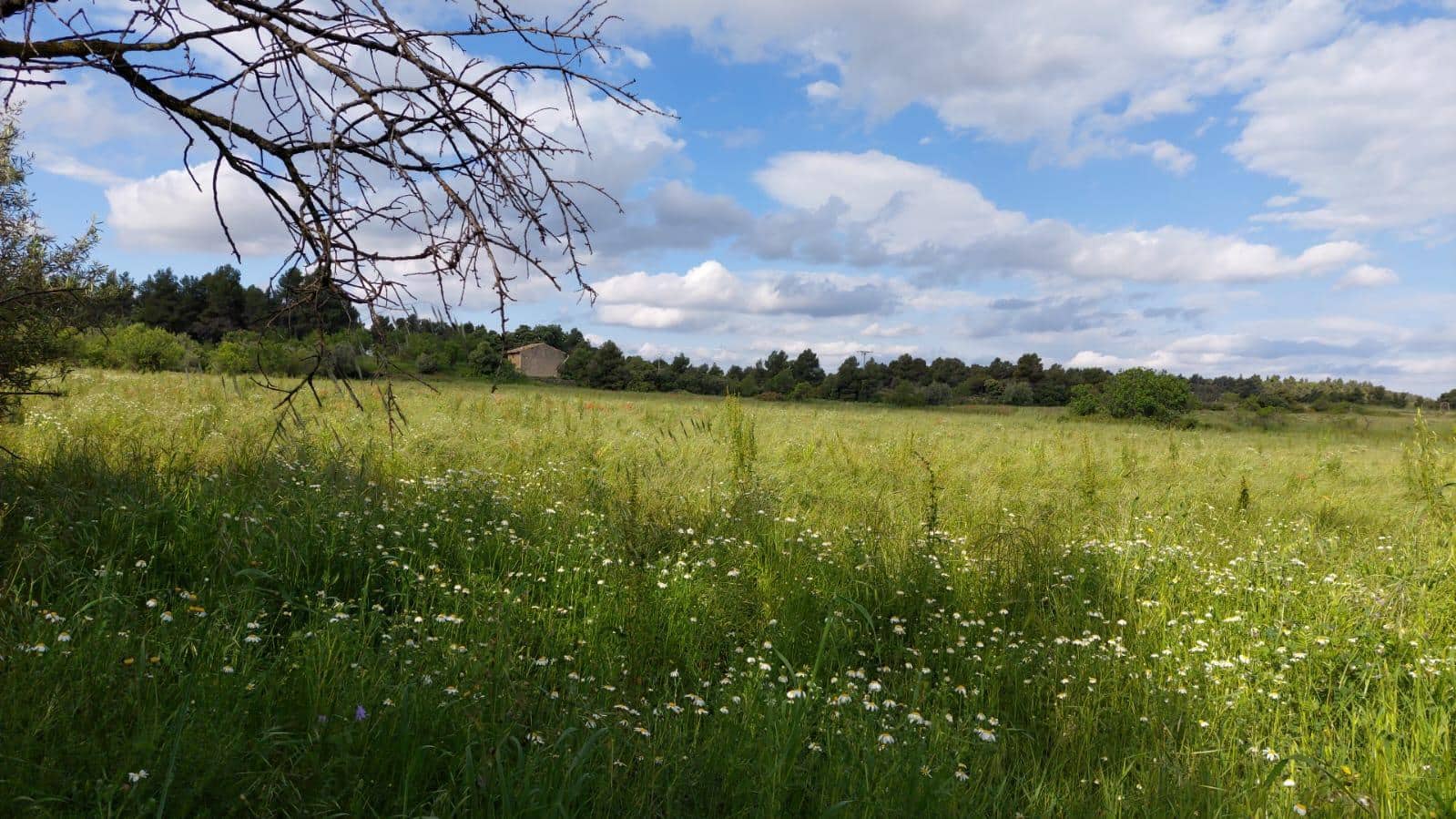 1 slaapkamer Finca/Landhuis te koop in Valderrobres - € 139.000 (Ref: 9094886)