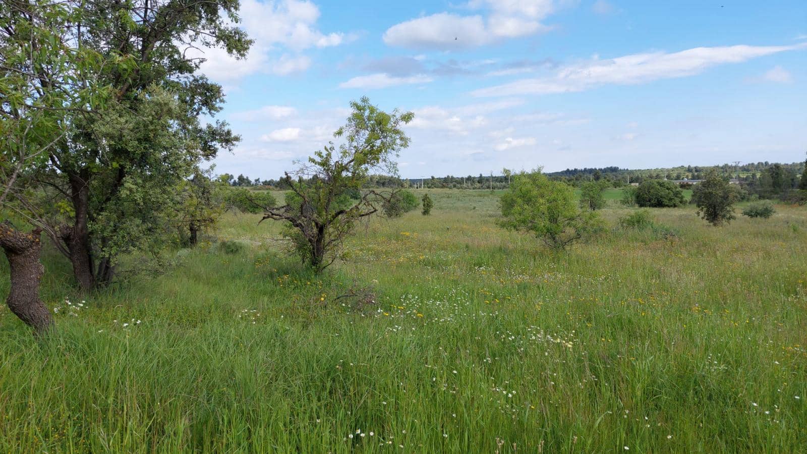 1 slaapkamer Finca/Landhuis te koop in Valderrobres - € 139.000 (Ref: 9094886)