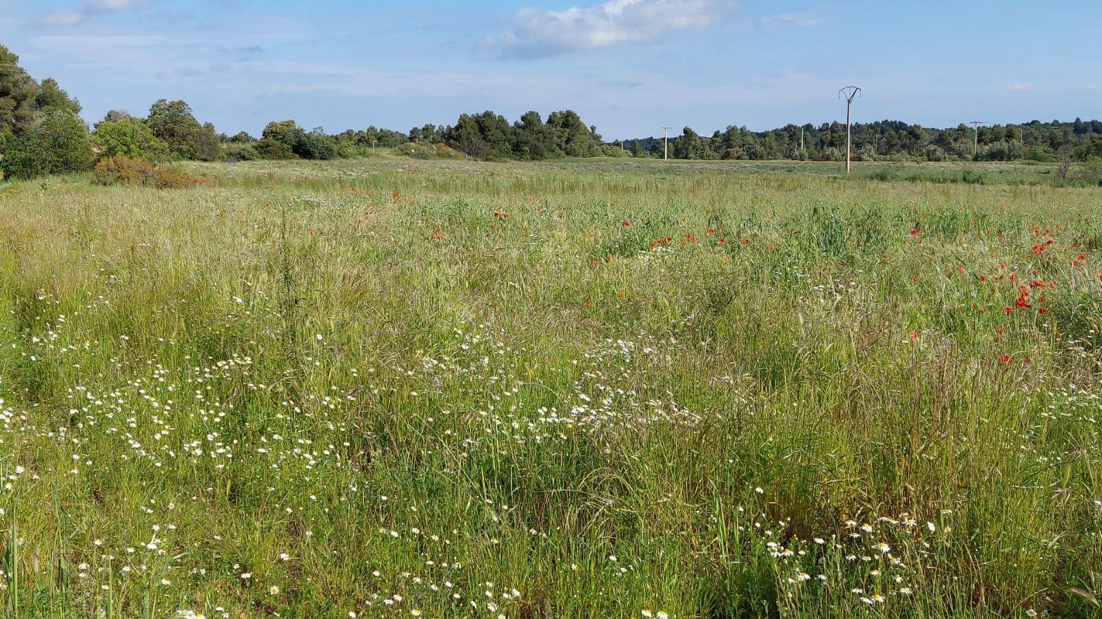 1 slaapkamer Finca/Landhuis te koop in Valderrobres - € 139.000 (Ref: 9094886)