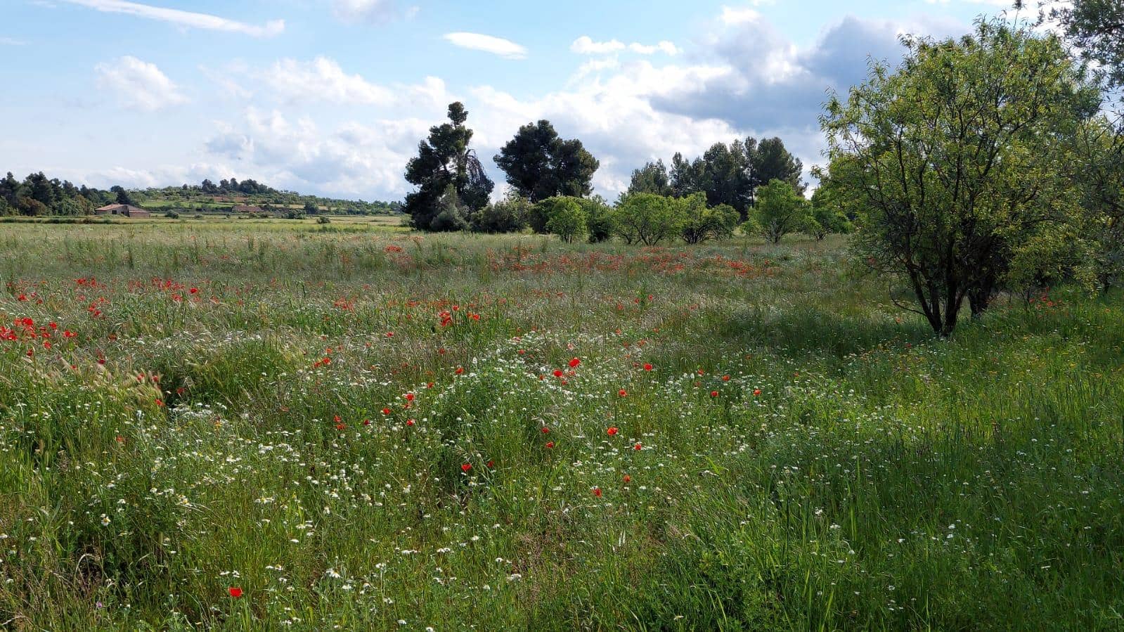 1 slaapkamer Finca/Landhuis te koop in Valderrobres - € 139.000 (Ref: 9094886)