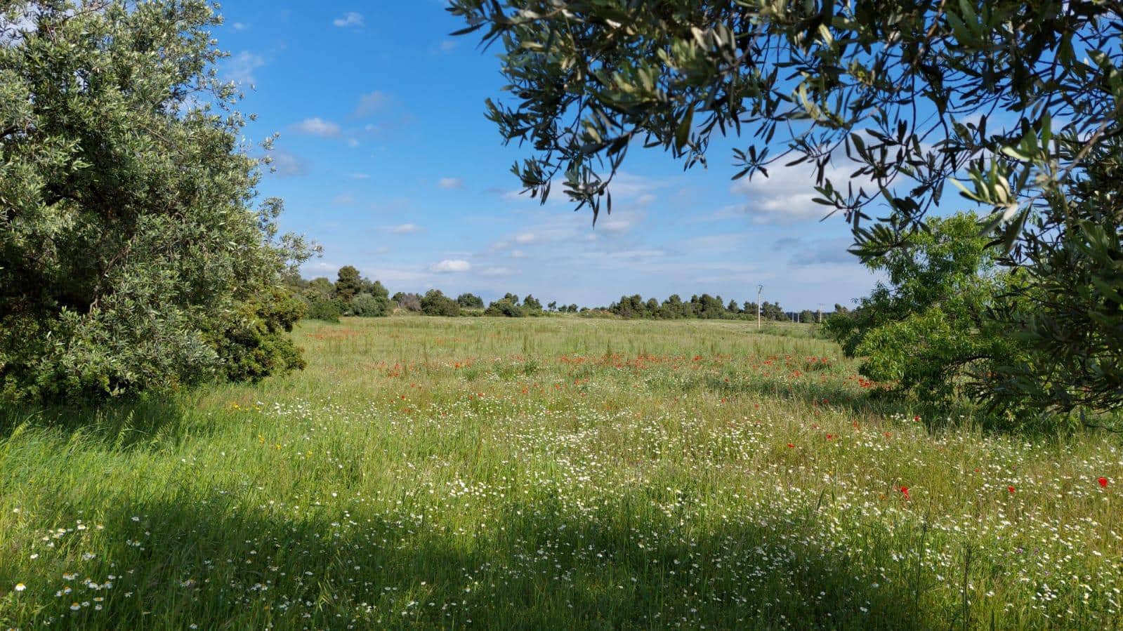 1 slaapkamer Finca/Landhuis te koop in Valderrobres - € 139.000 (Ref: 9094886)