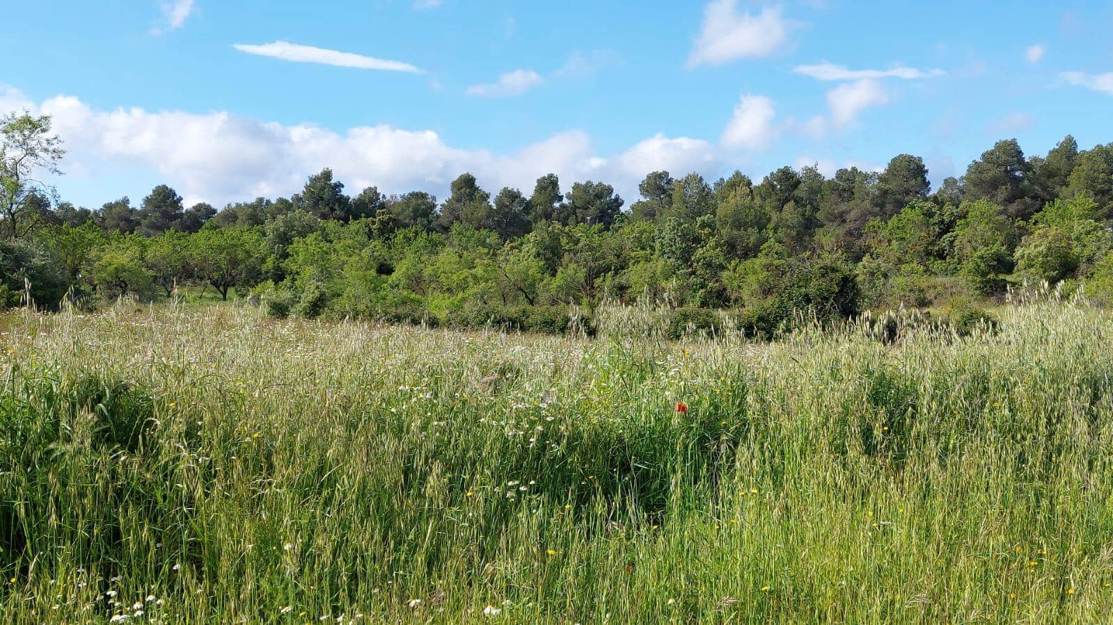 1 slaapkamer Finca/Landhuis te koop in Valderrobres - € 139.000 (Ref: 9094886)