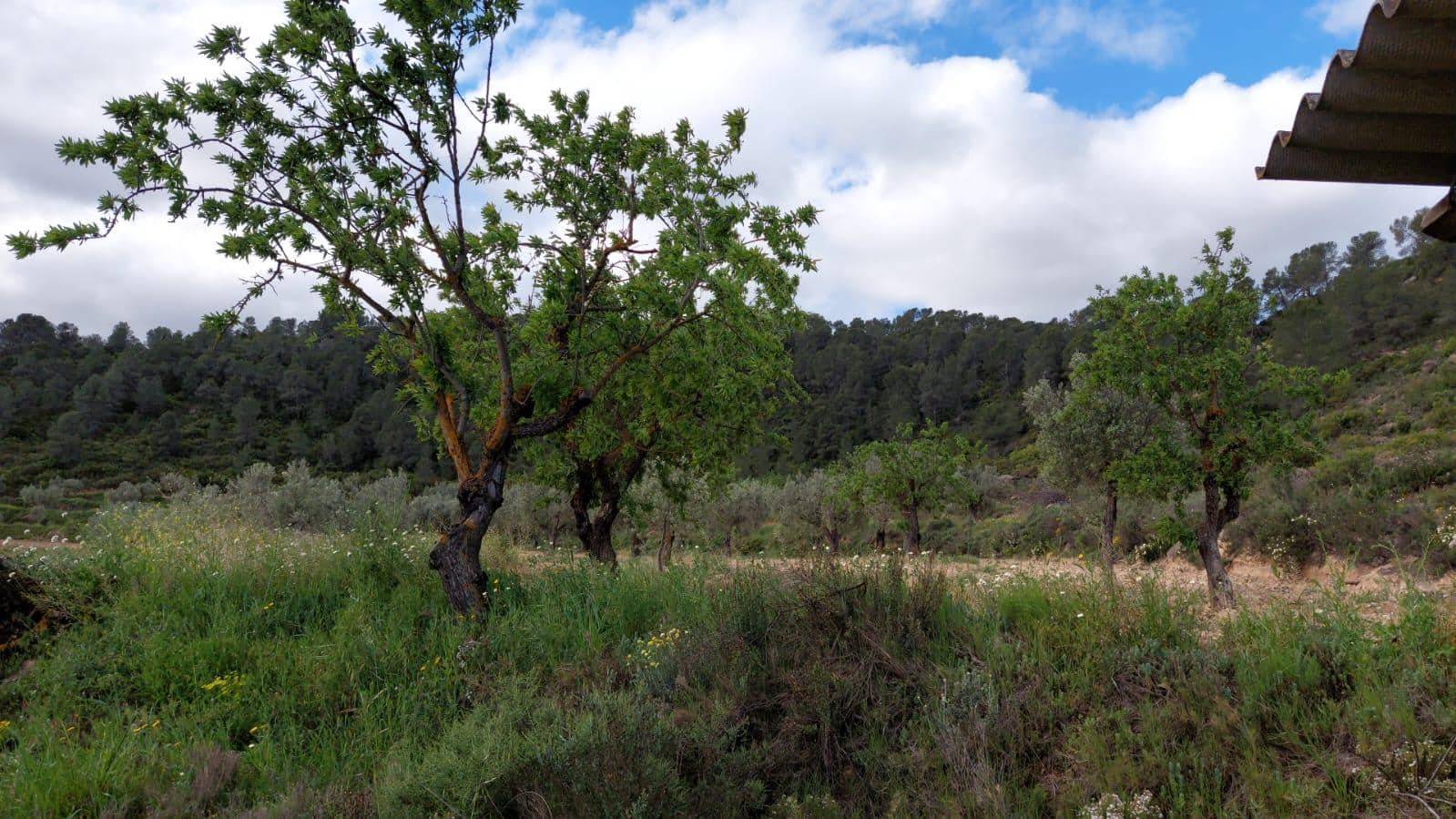 1 slaapkamer Finca/Landhuis te koop in Valderrobres - € 139.000 (Ref: 9094886)