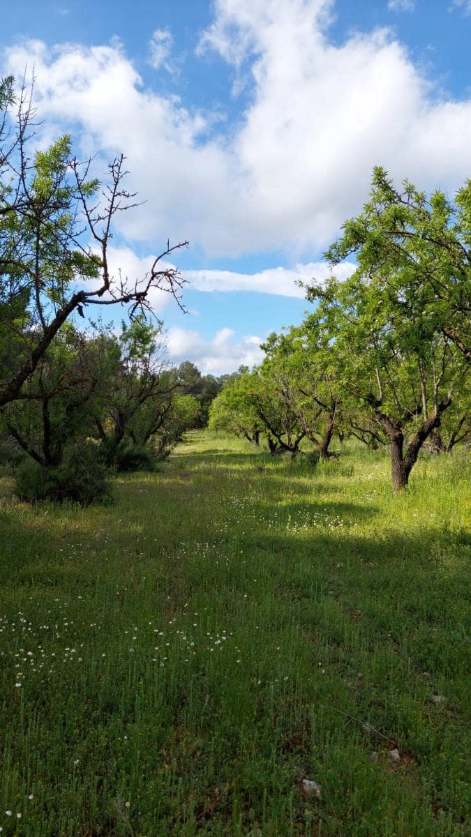 1 slaapkamer Finca/Landhuis te koop in Valderrobres - € 139.000 (Ref: 9094886)