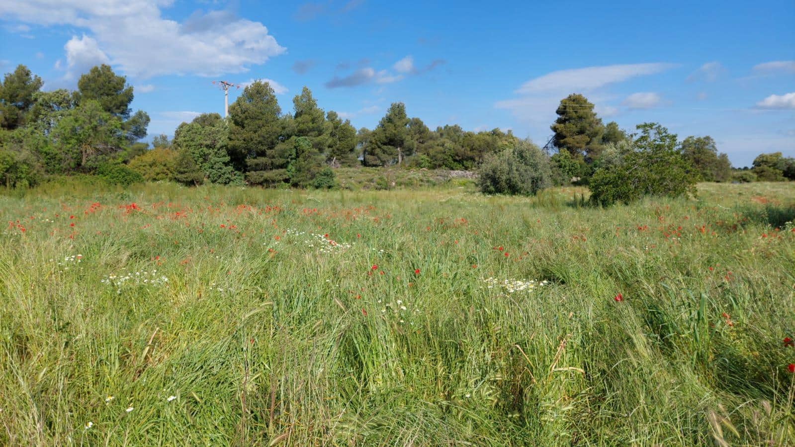 1 slaapkamer Finca/Landhuis te koop in Valderrobres - € 139.000 (Ref: 9094886)