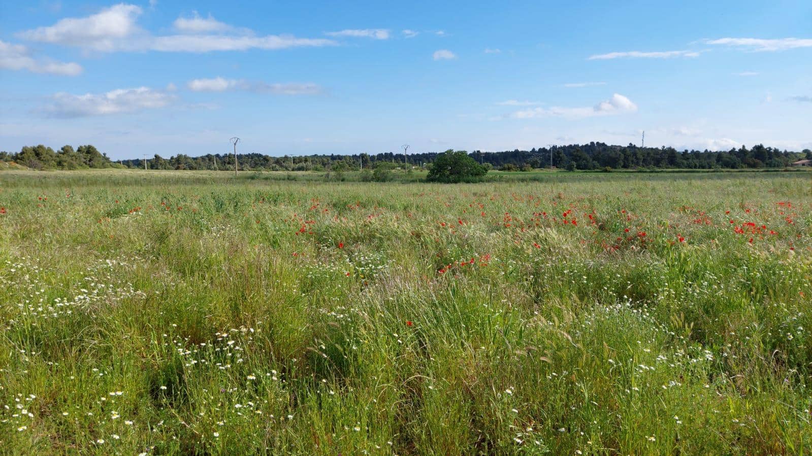 1 slaapkamer Finca/Landhuis te koop in Valderrobres - € 139.000 (Ref: 9094886)