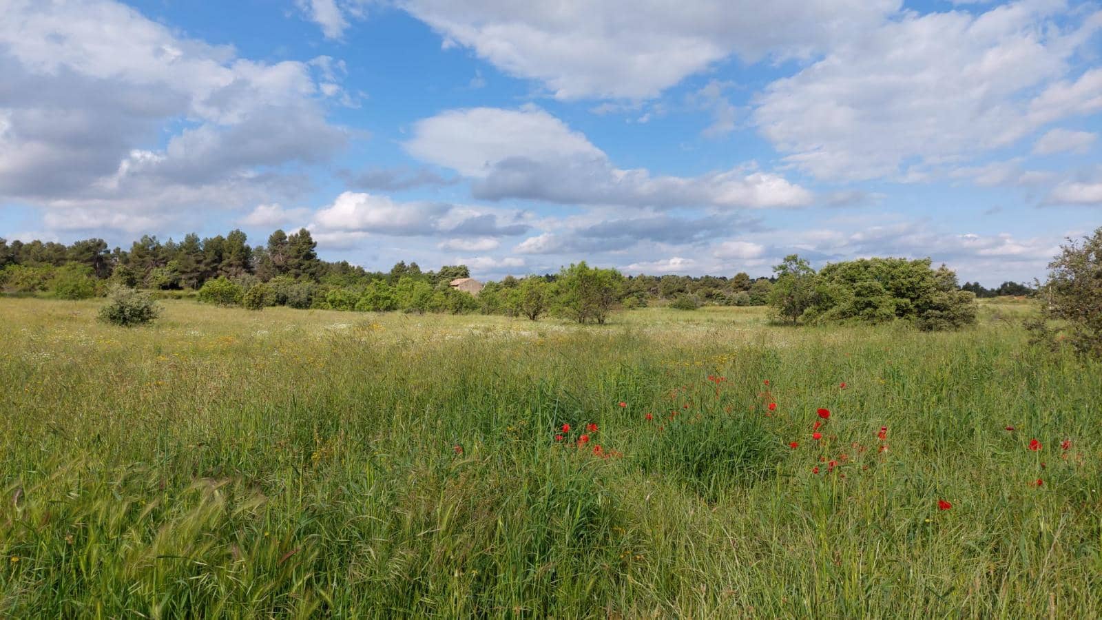 1 slaapkamer Finca/Landhuis te koop in Valderrobres - € 139.000 (Ref: 9094886)