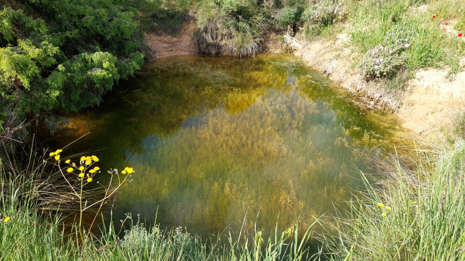 1 slaapkamer Finca/Landhuis te koop in Valderrobres - € 139.000 (Ref: 9094886)