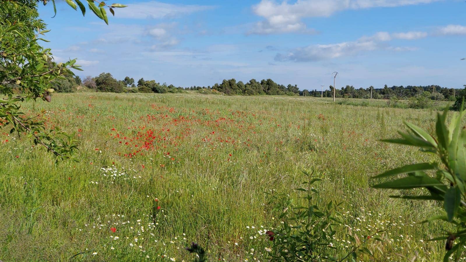 1 slaapkamer Finca/Landhuis te koop in Valderrobres - € 139.000 (Ref: 9094886)