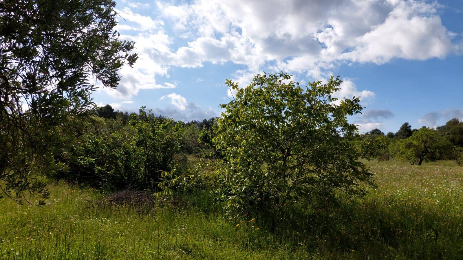 1 slaapkamer Finca/Landhuis te koop in Valderrobres - € 139.000 (Ref: 9094886)