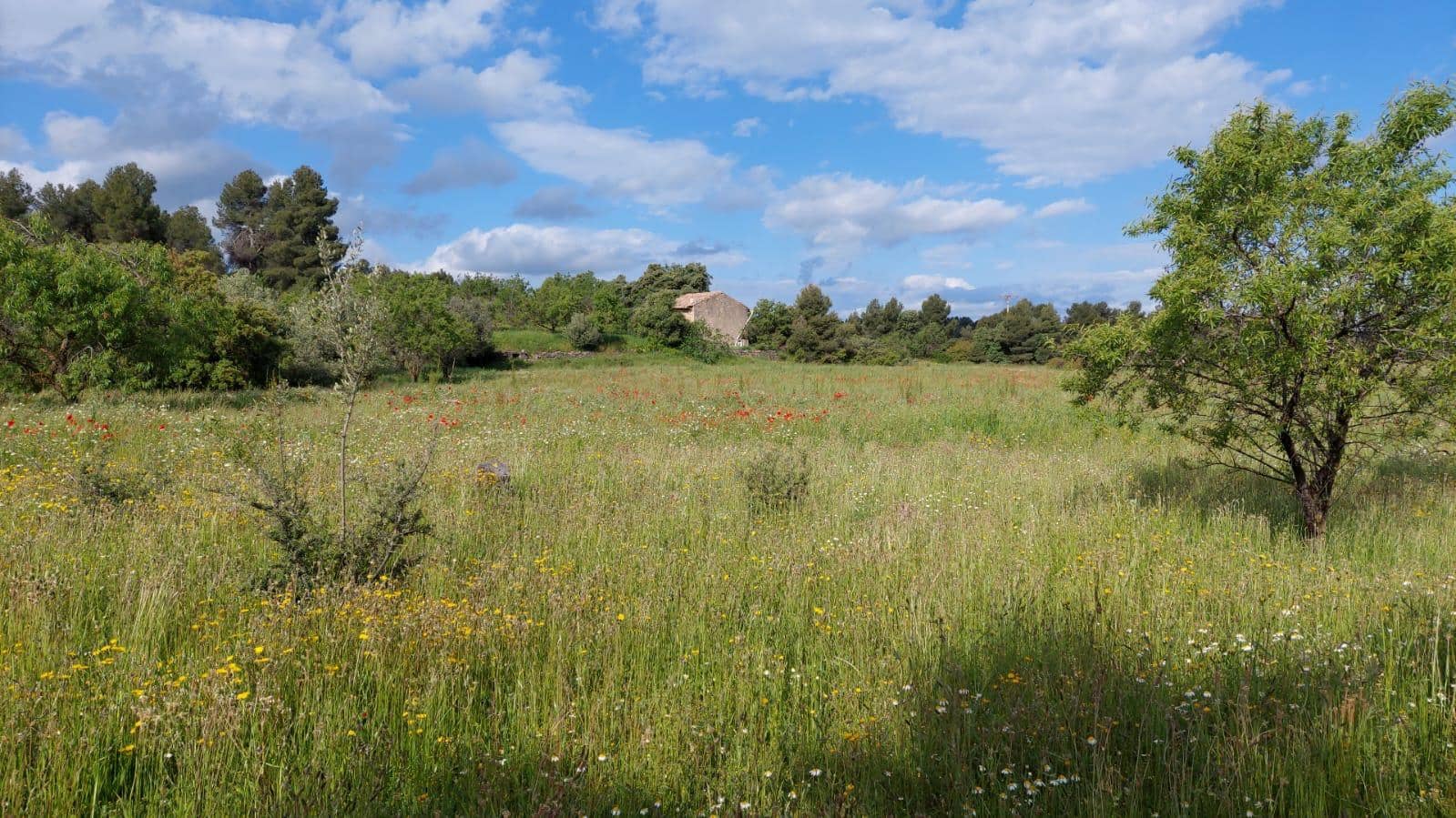 1 slaapkamer Finca/Landhuis te koop in Valderrobres - € 139.000 (Ref: 9094886)