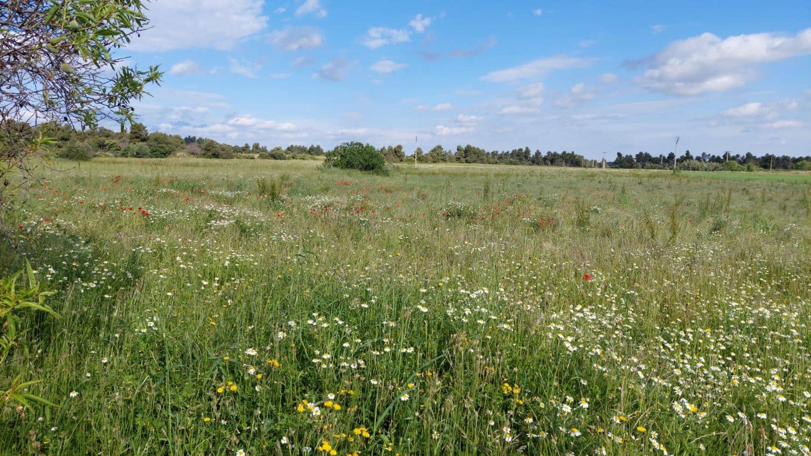 1 slaapkamer Finca/Landhuis te koop in Valderrobres - € 139.000 (Ref: 9094886)