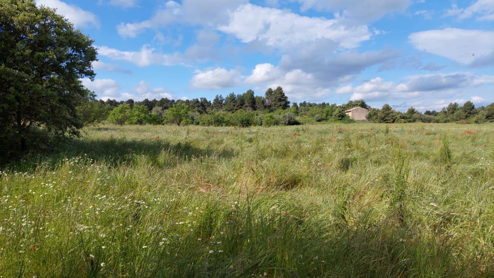 1 slaapkamer Finca/Landhuis te koop in Valderrobres - € 139.000 (Ref: 9094886)