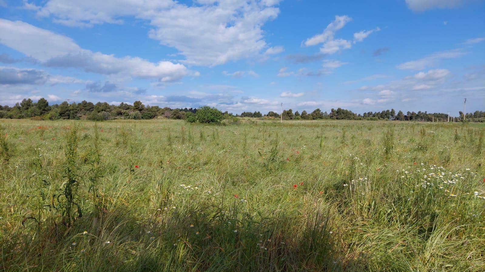 1 slaapkamer Finca/Landhuis te koop in Valderrobres - € 139.000 (Ref: 9094886)