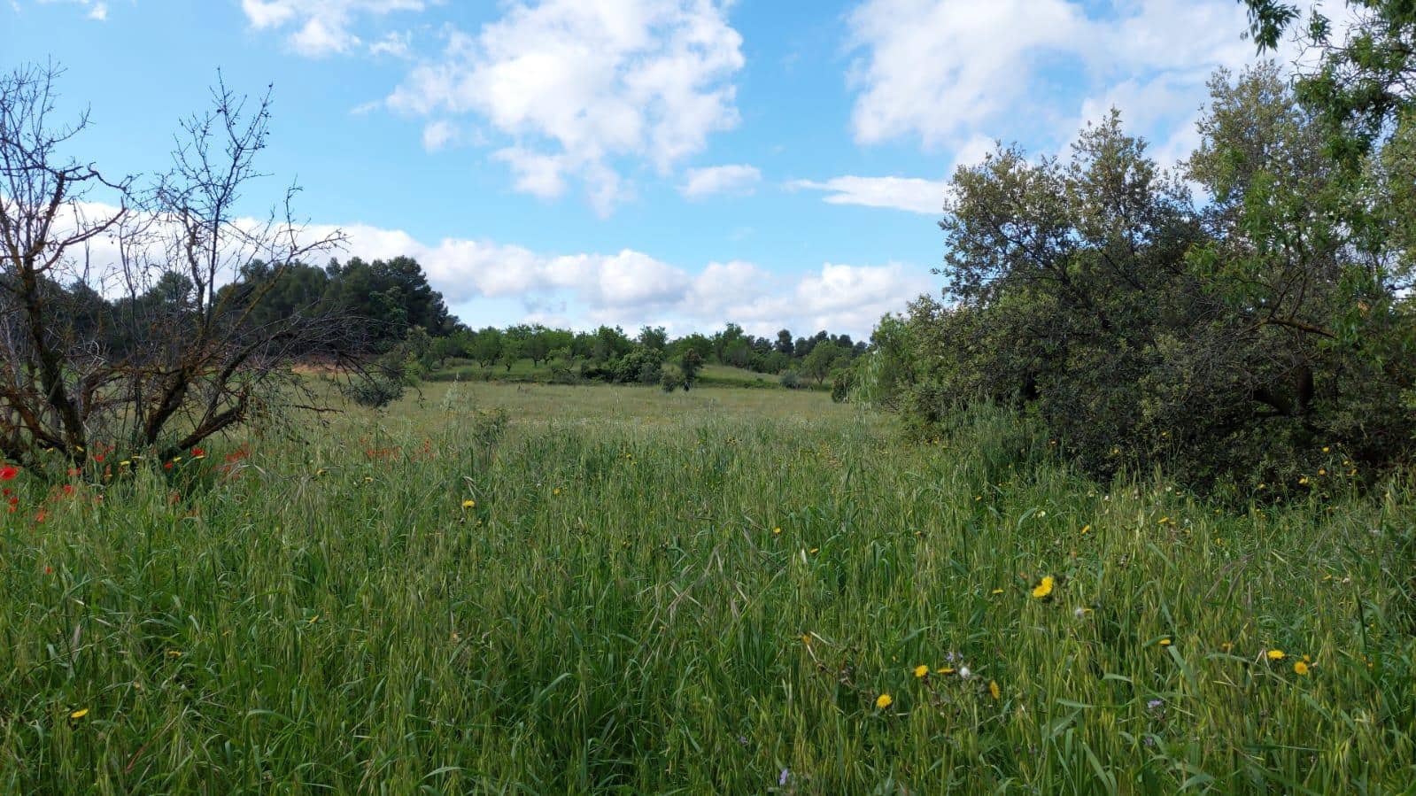 1 slaapkamer Finca/Landhuis te koop in Valderrobres - € 139.000 (Ref: 9094886)