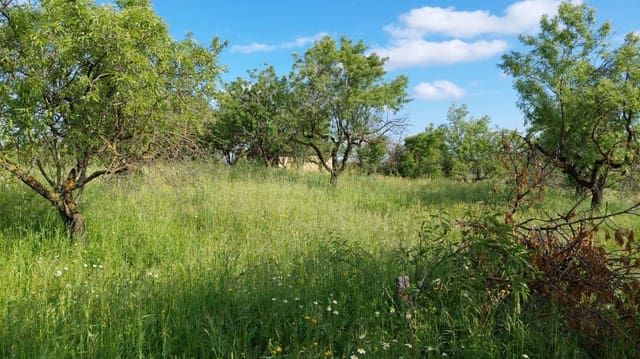 1 slaapkamer Finca/Landhuis te koop in Valderrobres - € 139.000 (Ref: 9094886)